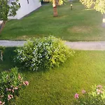 Hola