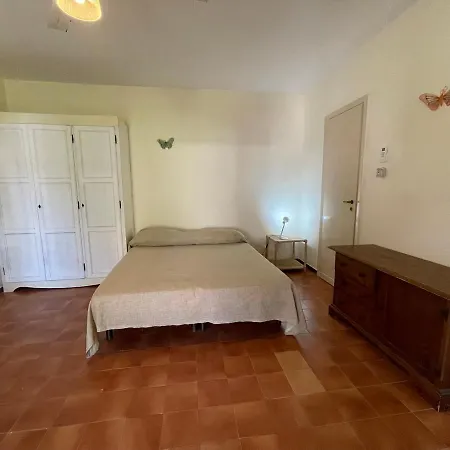 Hola Vulcano (Isola)