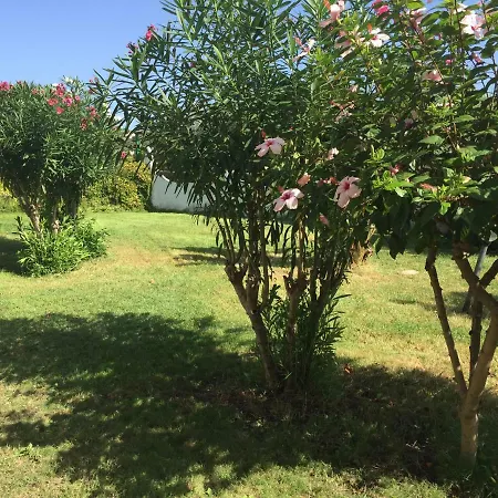 Hola Vulcano (Isola)