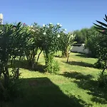Hola
